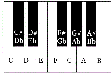 Label piano keys 