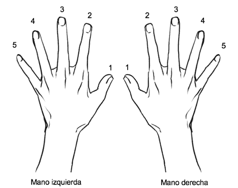 Posición correcta de los dedos y las manos en el piano