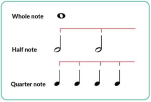 Learn quarter, half, and whole notes easily | Skoove