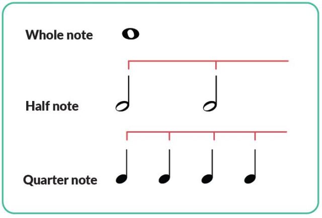 Wie Viele Halbe Noten Passen In Eine Ganze Note www.skoove.com