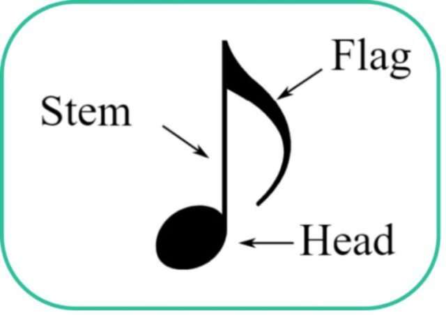 Music symbols: meaning and usage explained | Skoove
