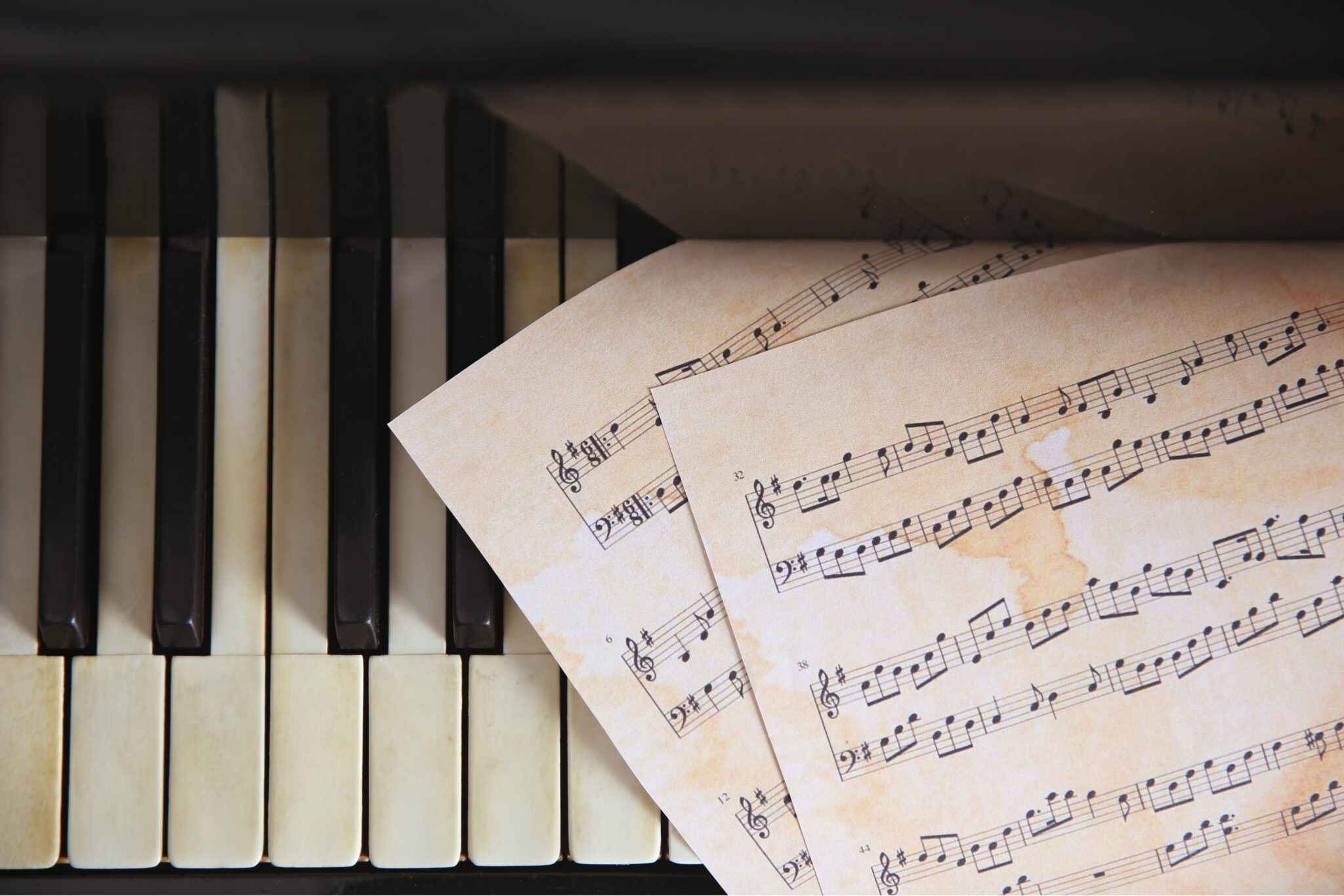 Bassschlüssel Noten lesen lernen in 4 einfachen Schritten | Skoove