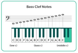 bass clef notes on the staff