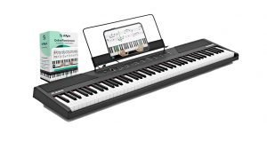 Alesis Concert