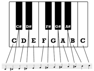 notes in octave