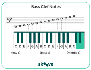 bass clef notes