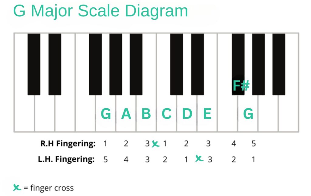 How to play the G major scale on piano? | Skoove