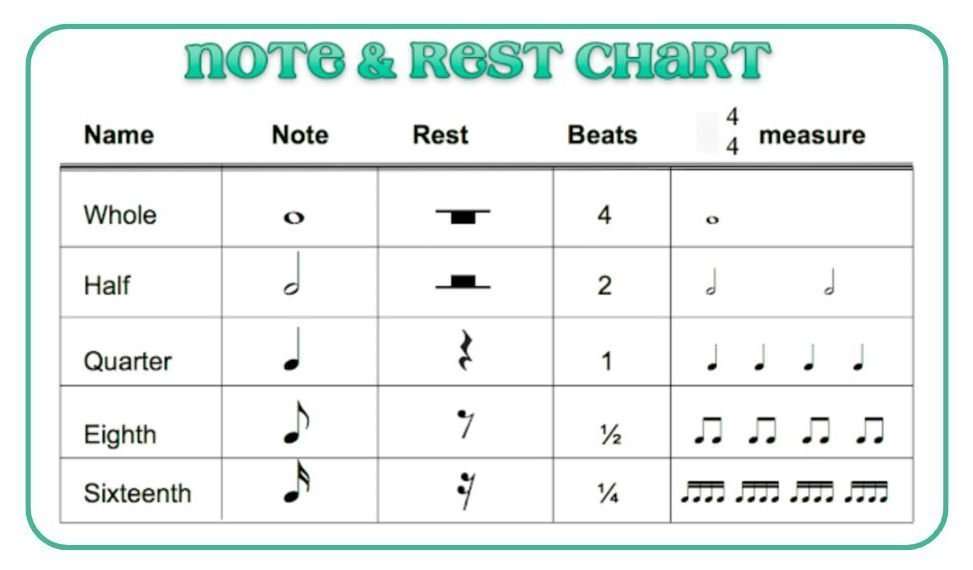 Quarter, half, and whole notes explained | Skoove
