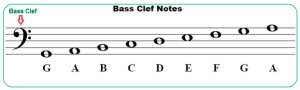 Bass clef notes