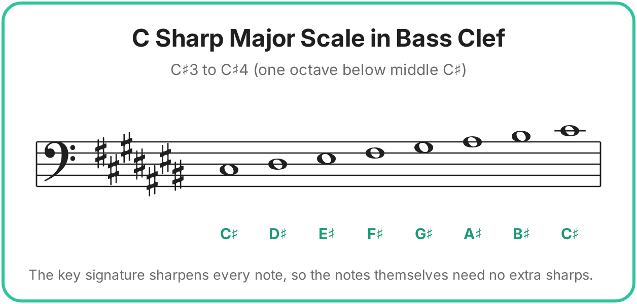 c sharp major scale in bass clef