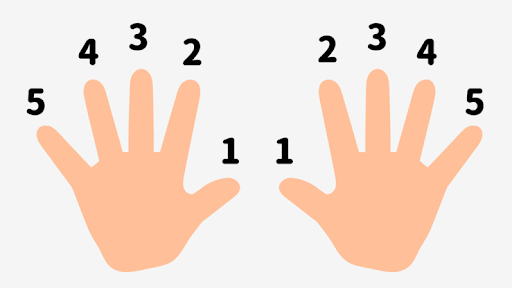 how to play d masjor scale