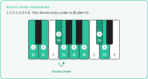 d major right hand fingering