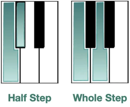 The D major scale formula: whole and half steps
